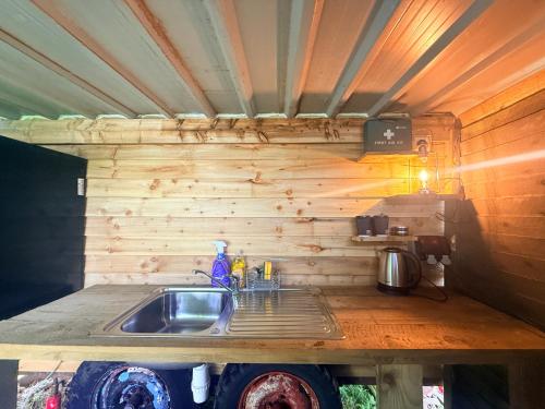 a kitchen with a sink and a wooden wall at Maesbury Meadows in Binegar