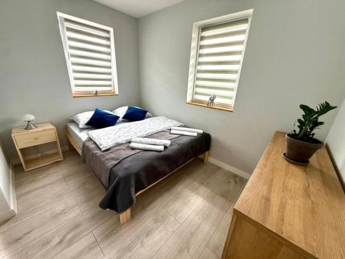 a bedroom with a bed with blue pillows and two windows at Chabrowy Domek in Jeżów Sudecki