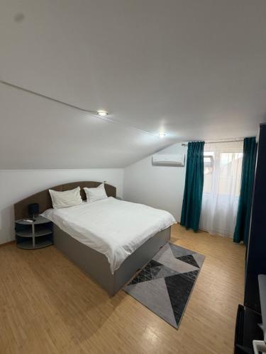 a bedroom with a large bed in a room at Hypnotic Villa Pitesti in Piteşti