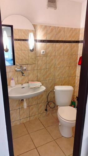 a bathroom with a toilet and a sink at Andels apartments Vila 3 in Rynholec