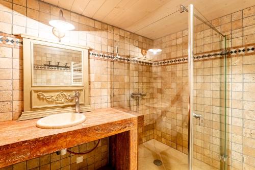 a bathroom with a sink and a shower at Mas des Oliviers in Redortiers