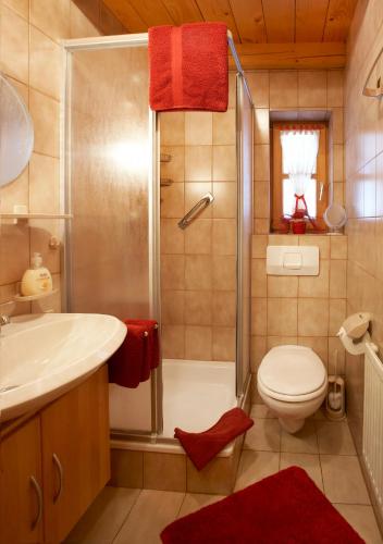 a bathroom with a shower and a toilet and a sink at Ferienhaus Bärenhöhle in Spiegelau