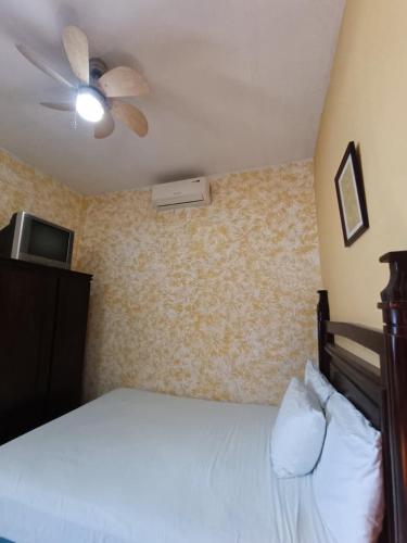 a bedroom with a bed and a ceiling fan at Hotel Casa del Consulado in Granada