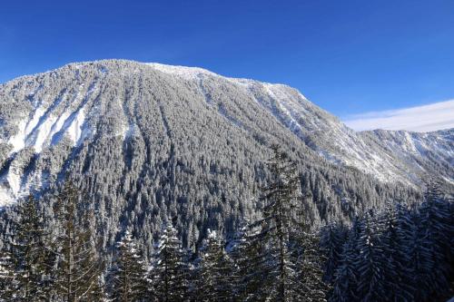 L'établissement Hotel Edelweiss en hiver