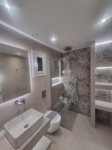 a bathroom with a sink and a toilet and a shower at Irides Apartments in Megalochori