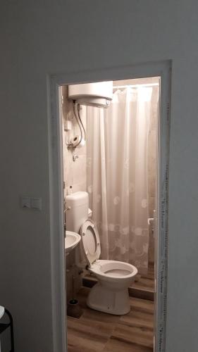 a bathroom with a toilet and a shower at air&wizz II in Dubrave Gornje