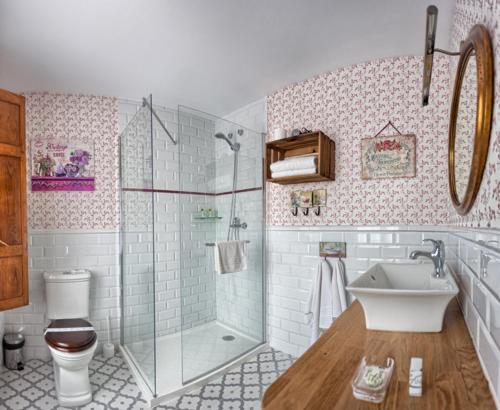 a bathroom with a shower and a toilet and a sink at Hotel Colonial de Santillana in Santillana del Mar