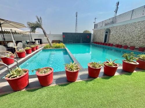 a swimming pool with potted plants next to a building at Hotel Lotus castle in Bathinda