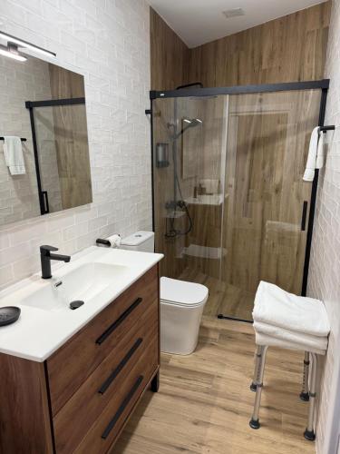 a bathroom with a shower and a sink and a toilet at Rincon de Toledillo in Plasencia