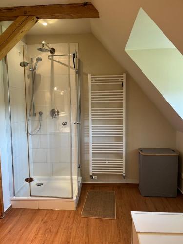 a bathroom with a shower in a attic at Charlottenhof in Wangels