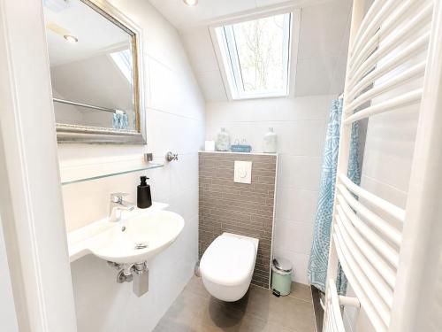 a small bathroom with a toilet and a sink at Villa Relax Ooghduyne - Dünen Golf und Spa bei Beach & more in Julianadorp