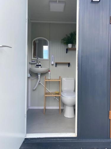 a bathroom with a toilet and a sink at Zimnik Camp in Lipowa