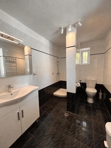 a bathroom with a toilet and a sink and a tub at Villa Delphini in Argyrátika