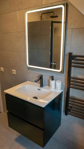 a bathroom with a sink and a mirror at Restaurant & Hotel De Jaeger in Ruurlo