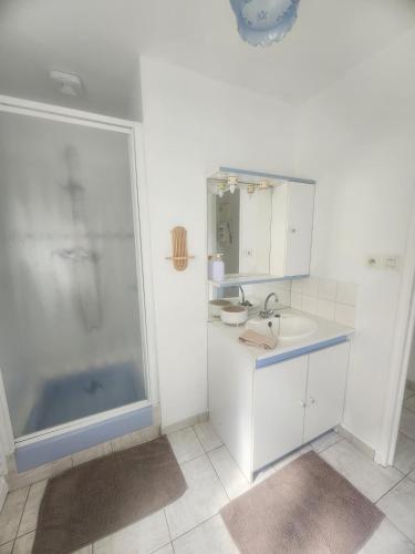 a bathroom with a shower and a sink and a tub at Le Carré Vert, appartement avec terrasse in Lamballe Armor