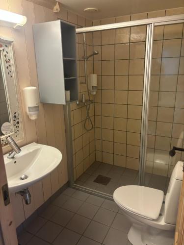 a bathroom with a shower and a toilet and a sink at Nyt høsten på Toppen av Hafjell in Øyer
