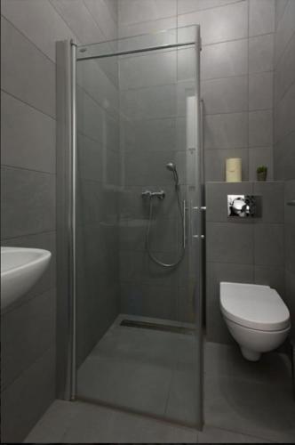 a bathroom with a shower and a toilet at Apartments Downtown in Zagreb