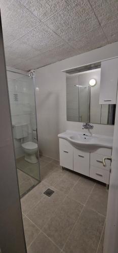 a bathroom with a shower and a sink and a toilet at City Center House in Vodice
