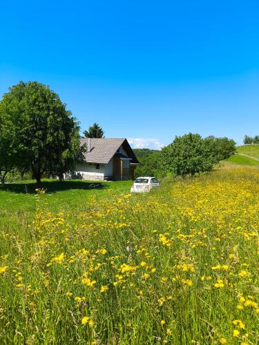 BRINA HOUSE, Nature Stay by Gorjanci