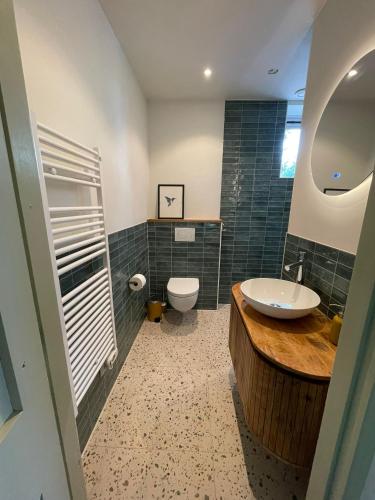 a bathroom with a sink and a toilet at B&B huize Stoutenburght in Blesdijke