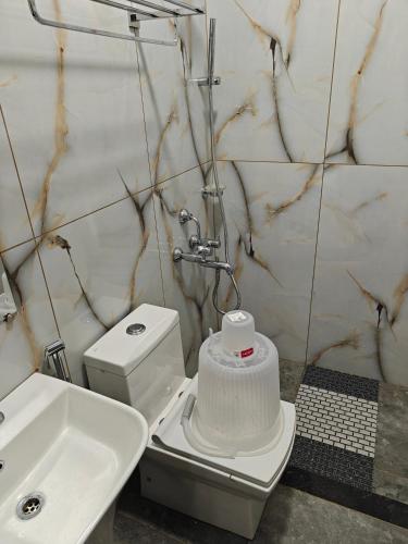 a bathroom with a toilet and a sink at The Ooty Suites in Ooty