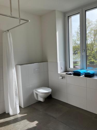 a white bathroom with a toilet and a window at Kaiserlich schlafen in der alten Post in Oelsnitz