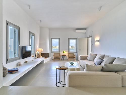 "Big Blue"Seafront Villa Naousa Paros