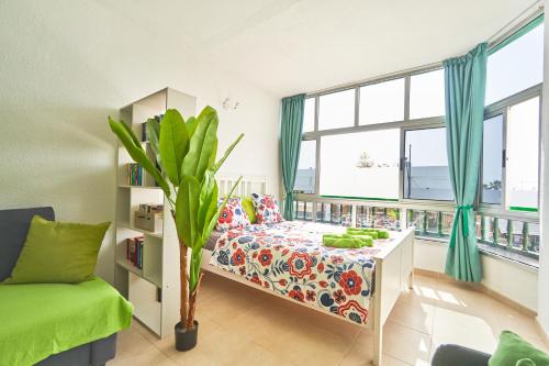 Casa Verde Corralejo