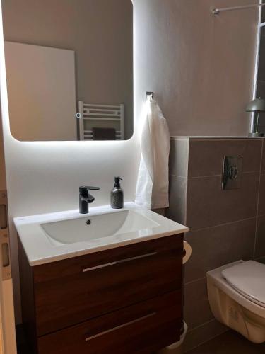 a bathroom with a sink and a mirror and a toilet at East Apartment in Egilsstaðir
