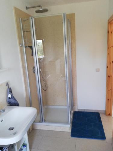 a shower with a glass door next to a sink at Wittenburg Perdöhl 2 in Wittenburg