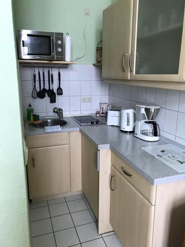 a kitchen with a sink and a microwave at Herrenhaus Blengow App.1 in Blengow