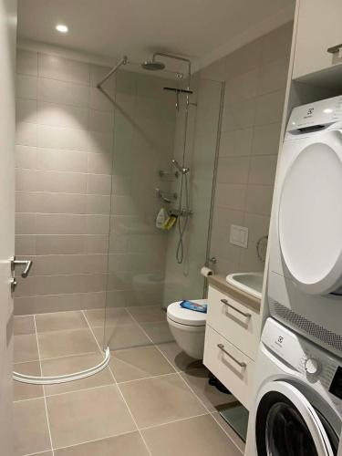 a bathroom with a shower and a toilet and a sink at Cozy Central Reykjavik in Reykjavík