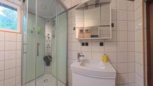 a bathroom with a shower and a toilet and a sink at Ferienwohnung Ri-Wo in Malta