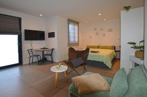 Danka Studio with terrace