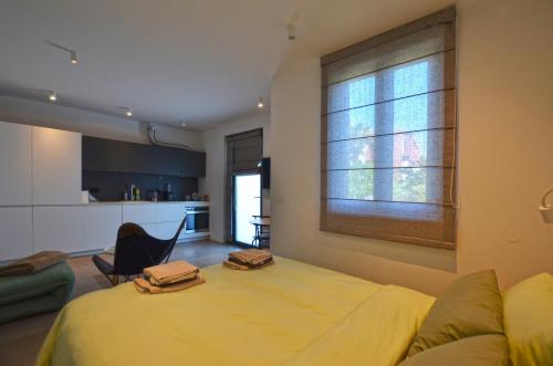 Danka Studio with terrace