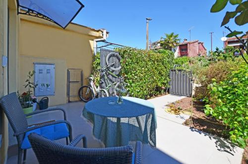 Danka Studio with terrace