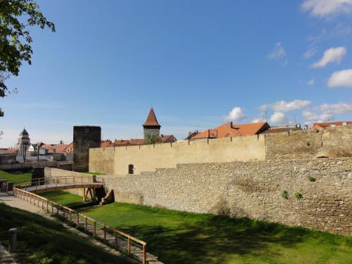 a large stone wall with a city in the background at Penzion U Hradeb in Znojmo