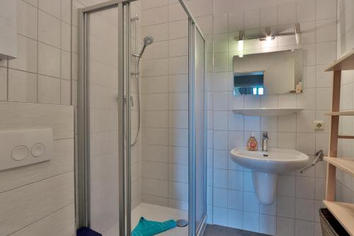 a bathroom with a shower and a sink at Herrenhaus Blengow App.08 in Blengow