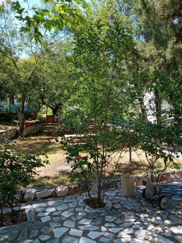 a tree sitting on a stone path in a park at Kalemi Pansiyon in Marmara