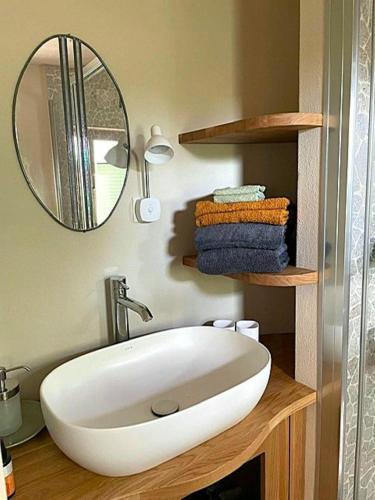 a bathroom with a white sink and a mirror at Tiny House Hubert von Auernheim in Treuchtlingen