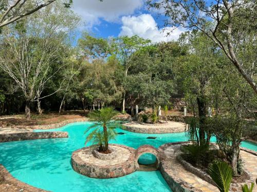 a swimming pool in a yard with trees at Campo Eden in Capitán Miranda