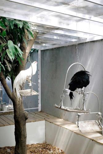 two birds sitting on bird feeders in a cage at Marina Bến Du Thuyền in Ấp Long Ðại