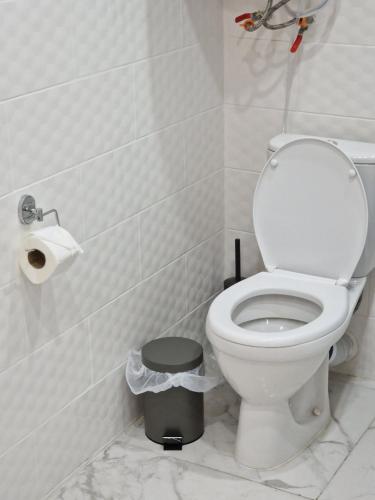 a bathroom with a toilet and a trash can at Silver room 3 in Zatoka