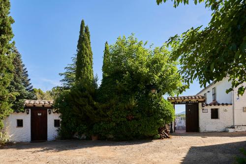 a large green tree in front of a building at Cortijo La Tiná Nueva in Segura de la Sierra