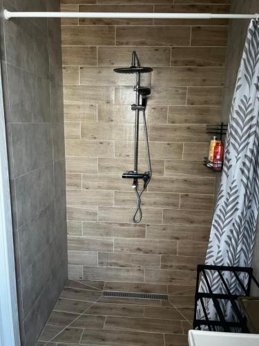 a shower in a bathroom with a tile wall at Anna in Rivne