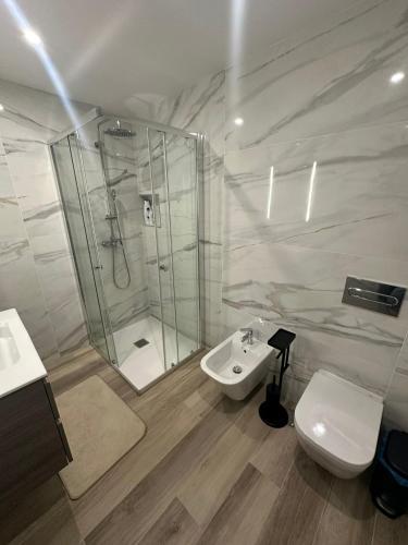a bathroom with a shower and a toilet and a sink at Apartamento AC T2 Pombal in Pombal