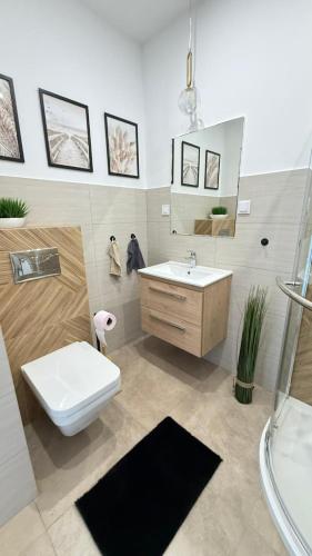 a bathroom with a sink and a toilet and a mirror at Sosina Dreams in Jaworzno