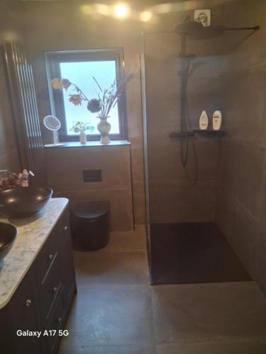 a bathroom with a shower with a glass door at Kitty O'Shea's Guesthouse V94DVH9 in Limerick