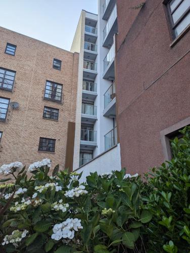 an apartment building and a bush with white flowers at Cosy Centre in Dundee