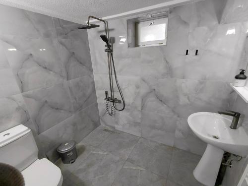a bathroom with a shower and a toilet and a sink at Apartment Matej in Kruševo